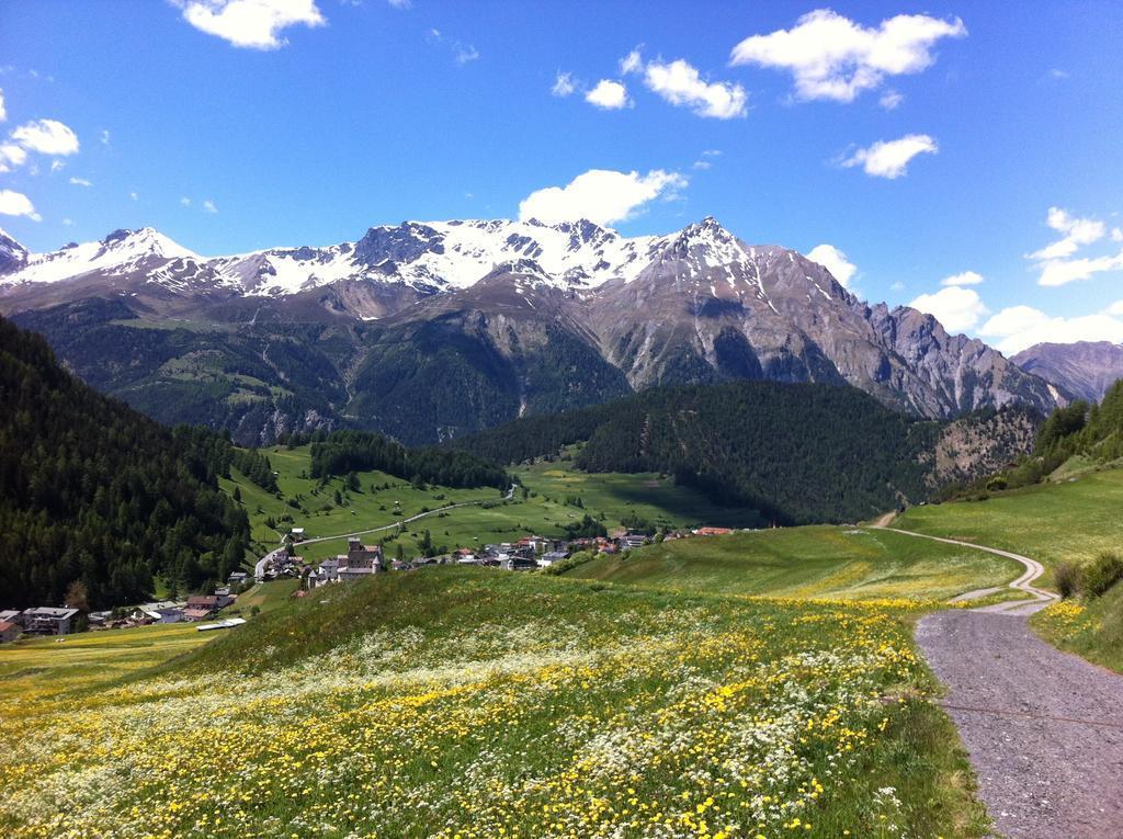Alpin Art & Spa Hotel Naudererhof Superior ナウダース エクステリア 写真